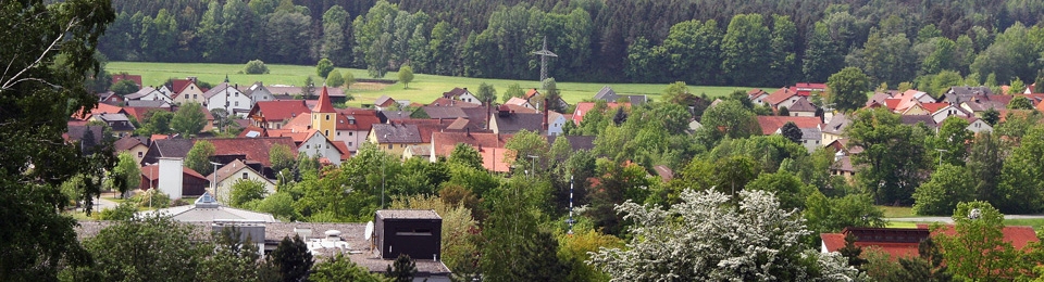 Irchenrieth - altes Dorf